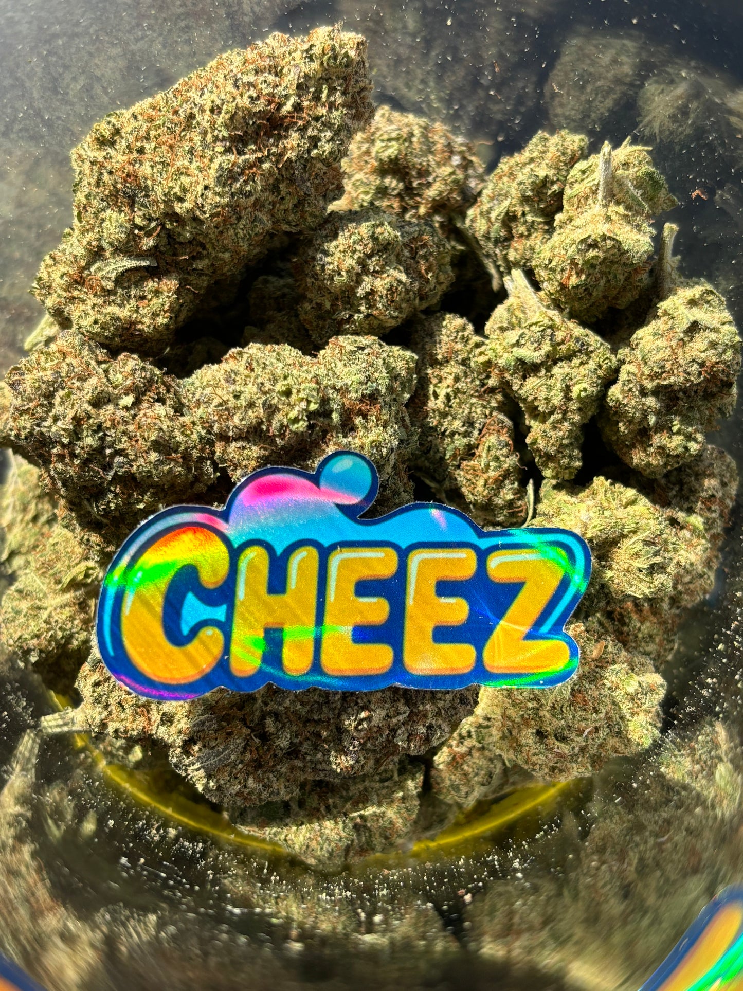 Photo gros plan des fleurs de CBD candy kush : grosse Bud / big Bud avec beaucoup de trichomes et une couleur verte clair.
